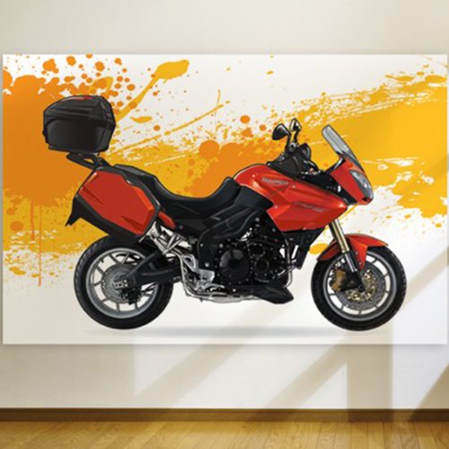 Mural-bike